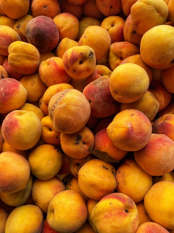 Où découvrir les traditions de pêche sur le lac Inle, Myanmar ?